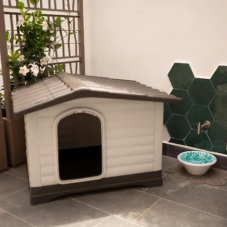 Casa Di Akis 3* Acireale
